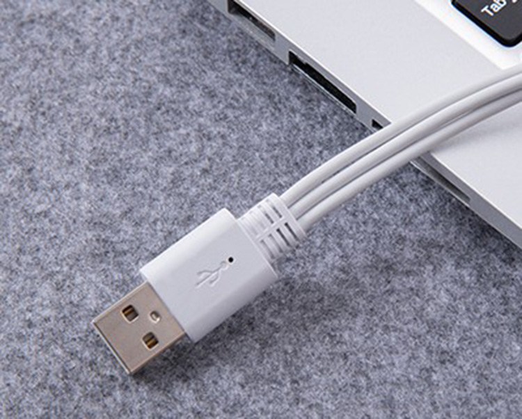 USB-C Cable